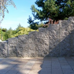 Palisada Cios Skalny